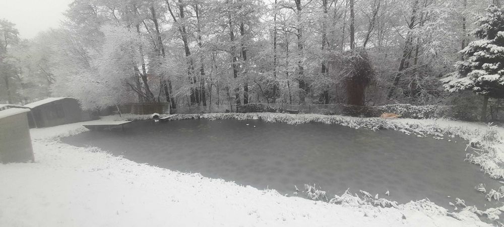 Dom na sprzedaż w chełstówku