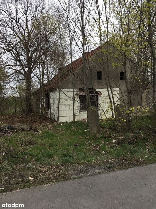Sprzedaż gruntów RUMIANEK