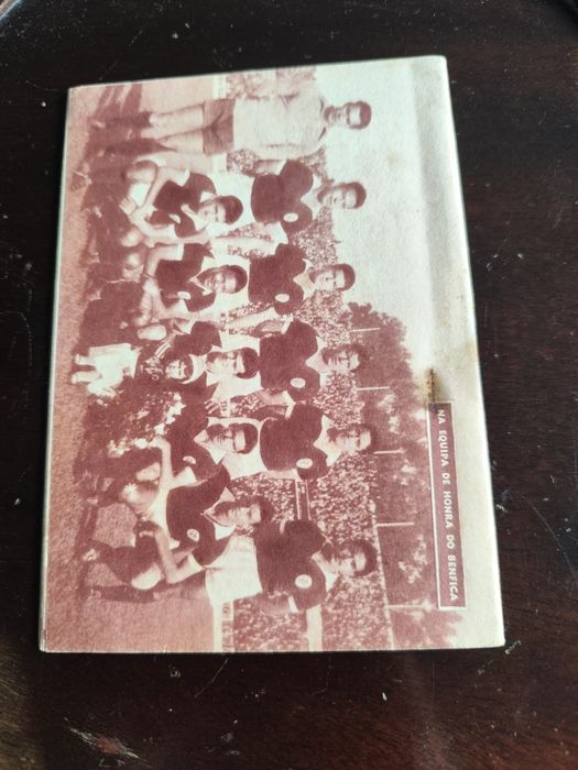 Ídolos do desporto número 33 salvador