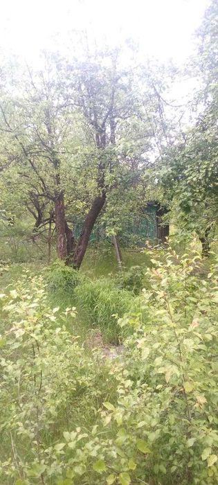 Продам два дачных участка Журавлевские склоны