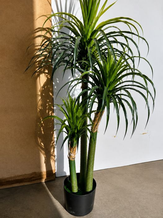 Palmeiras lindissimas 170 cm para decorações