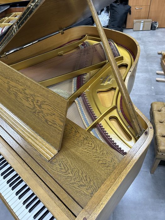 Fortepian Schimmel 174cm dąb jedyny taki