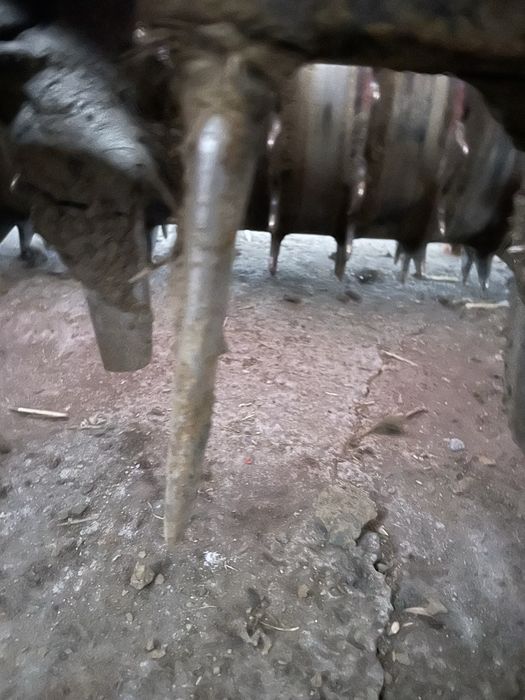 Agregat uprawowo siewny brona Niemeyer , siewnik Accord