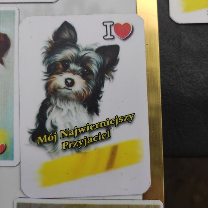 Magnesy na lodówkę