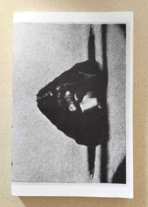 O splash de uma gota, de Arthur Mason Worthington
