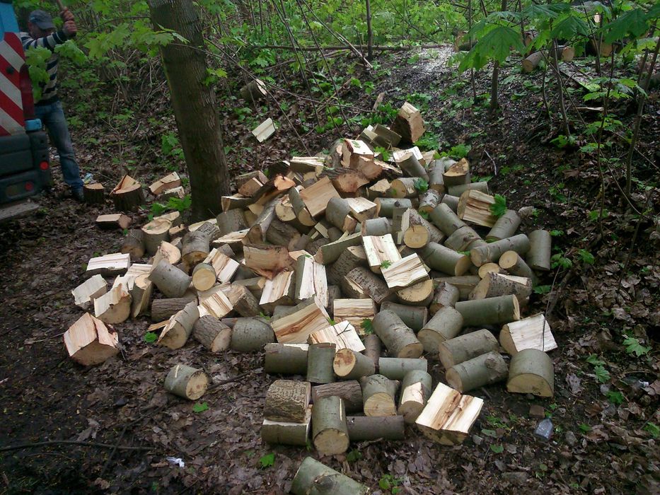 Drewno kominkowe i opałowe z transportem.