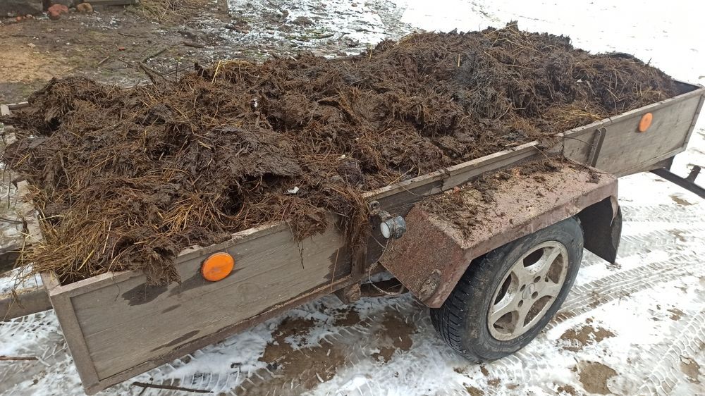 Obornik  sezonowany 50 gr/kg, doskonały nawóz ogrodowy