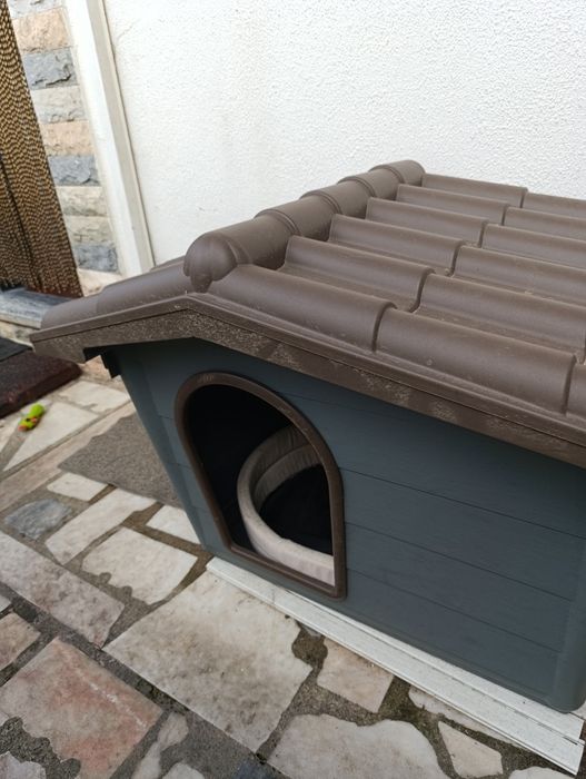 Barraca para cão