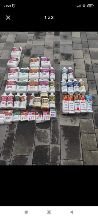 Colombo do akwarium morskiego