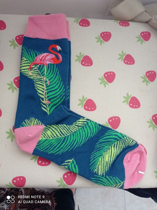 Meias Flamingos | Novo