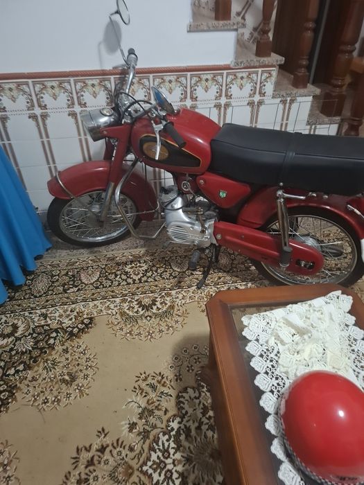 Vendo Sachs Lebre