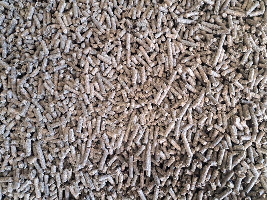 Wysłodki buraczane granulowane zamówienia od 1 tony