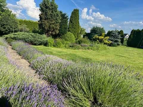Sprzedam zagospodarowaną działkę w Katowicach Podlesiu 2170m2