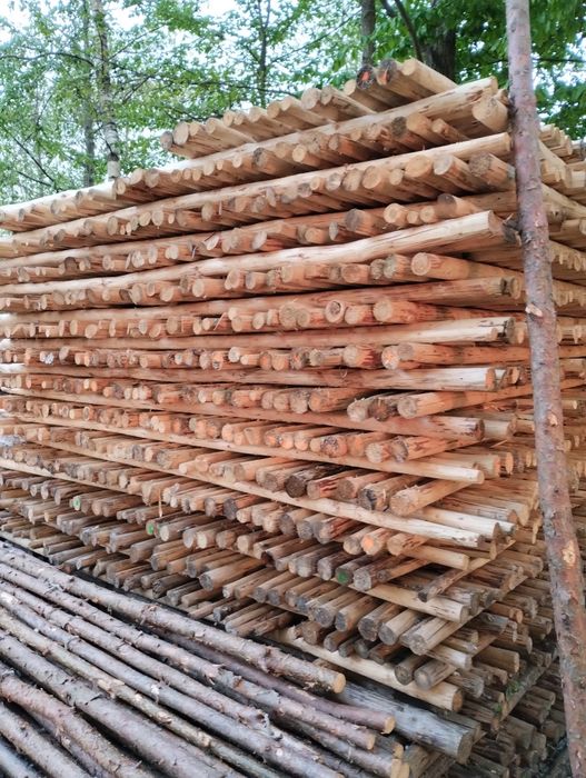 Kołki do drzewek wolno stojące