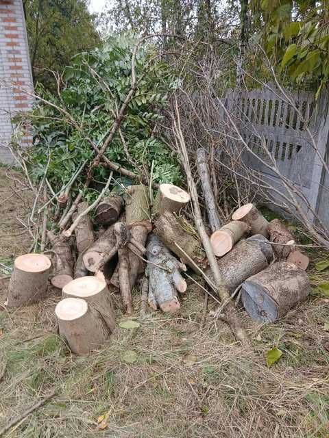 Drewno na opał, w kawałkach