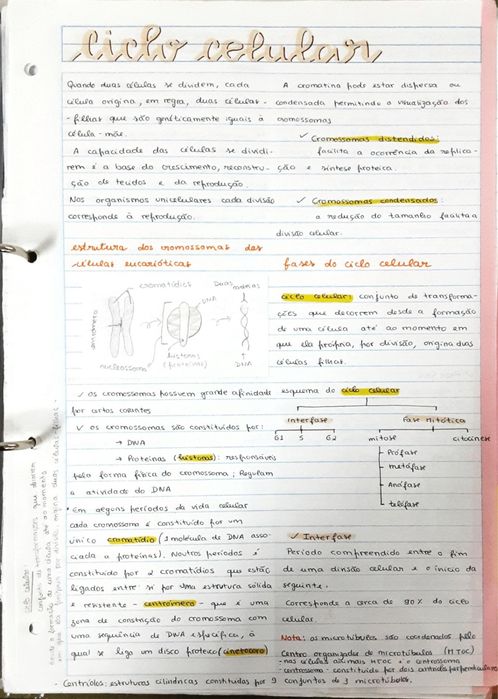 Resumos biologia e geologia 10º/11º para Exame Nacional IAVE