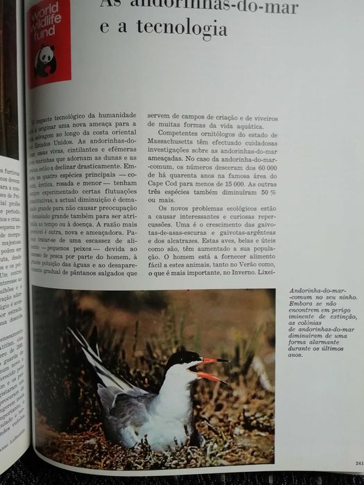 Animais em Perigo, World Wildlife Fund