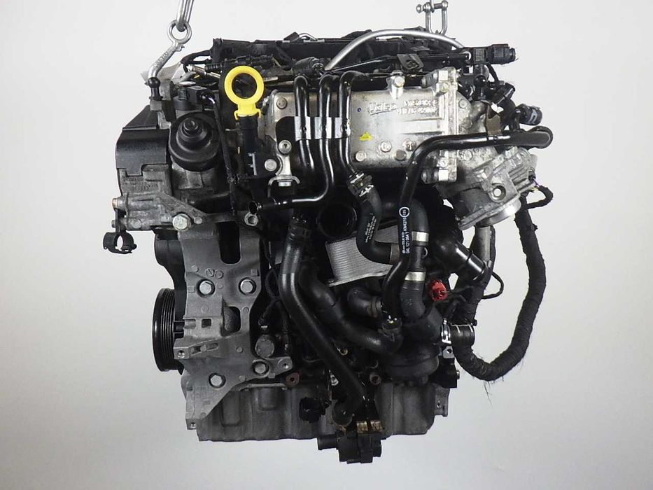 Motor AUDI A3 1.6TDI 81KW DBKA -  USADO