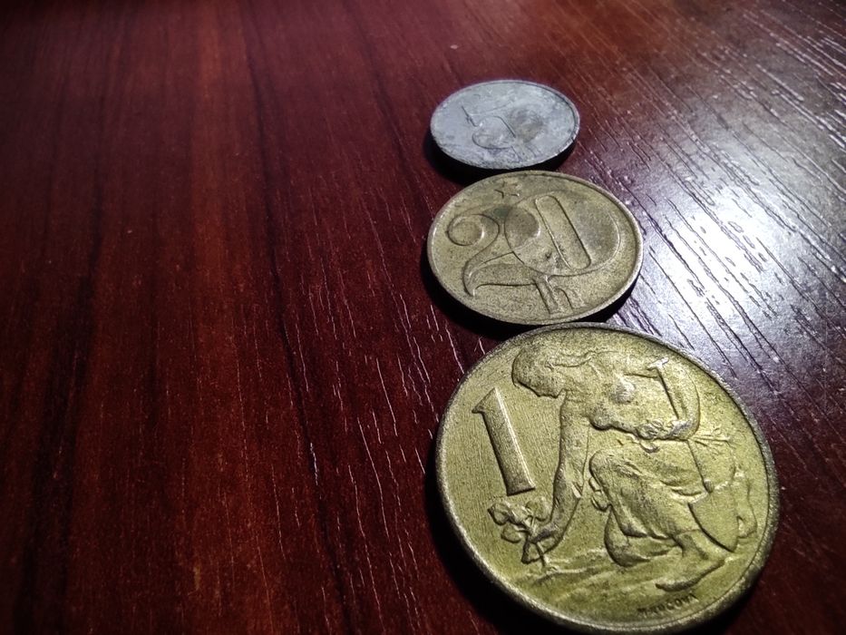 Монеты социалистического лагеря 20ого века.