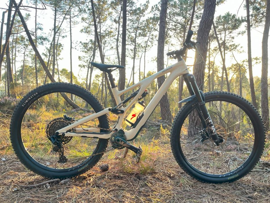 Specialized stumpjumper evo pro