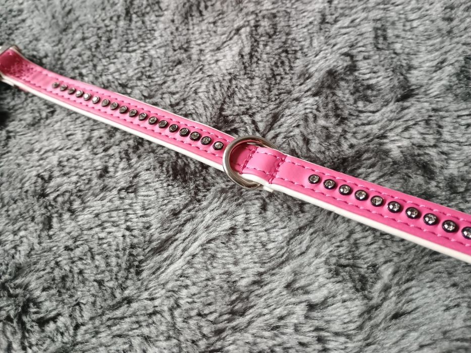 Obroża dla psa Hunter