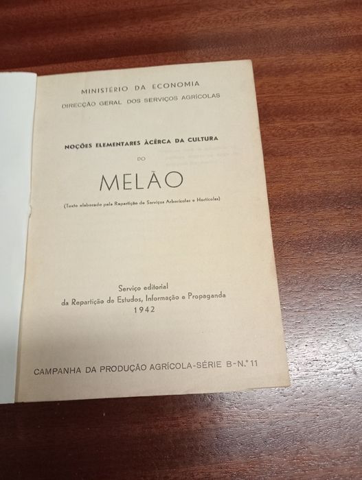Cultura do alho, melão, batata, abóbora e pepino