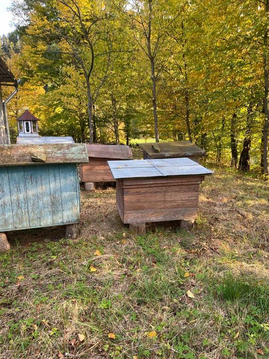 Продам земельну ділянку під інвестицію в Маняві 75 сотих