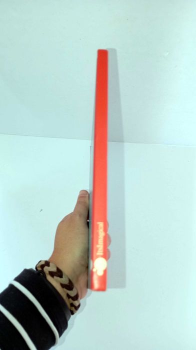 A Grande Aventura de Kico Nico