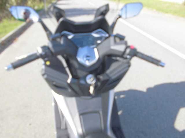 CRUISYM ALPHA 300 Ano 2021