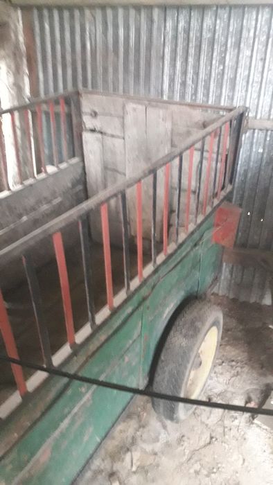 Wózek do przewozu zwierząt