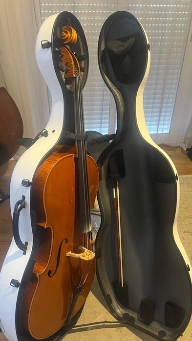 Violoncelo profissional