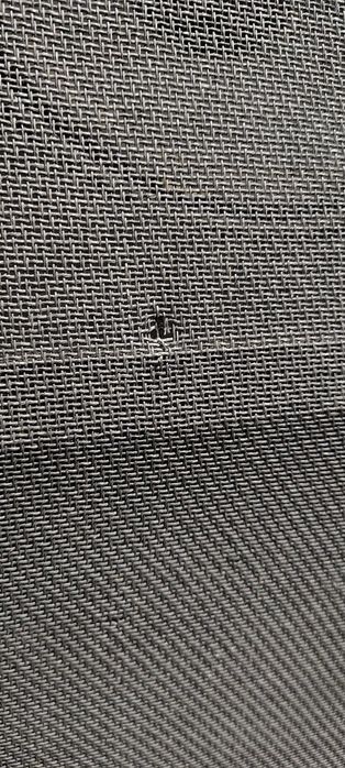 Marshall JCM900 + 1960