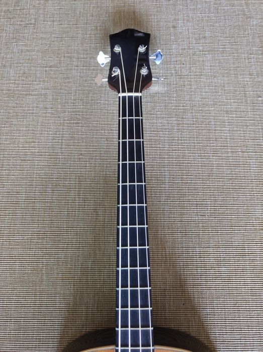 Baixo Acústico de Fado