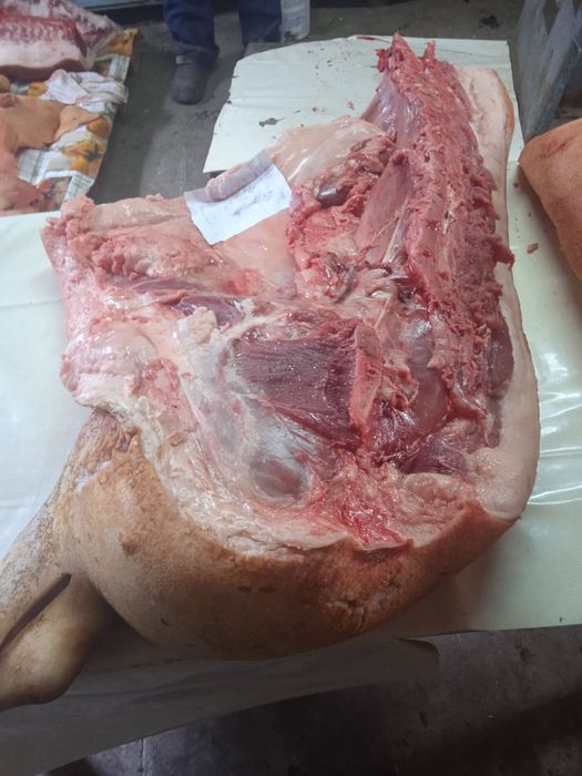 Продам М'ясо домашніх свиней