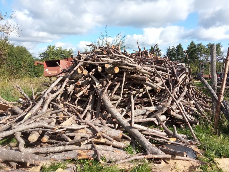 Drewno bukowe gałęziówka