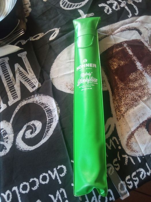 Flauta escolar Hohner
homolegada para uso em todas as escolas na disci