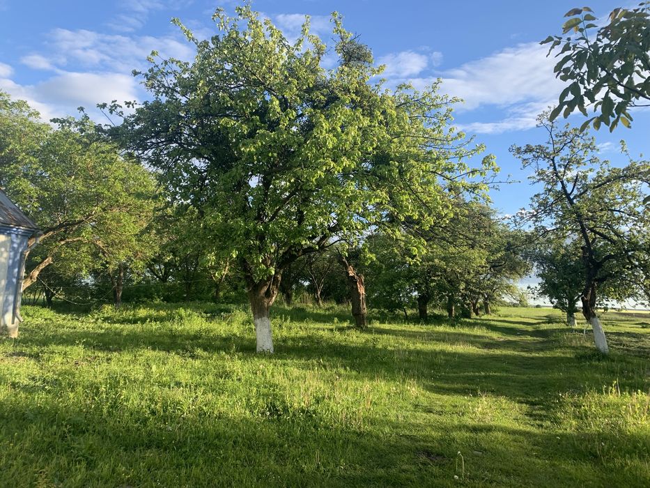 Продам будинок с. Довгошиї