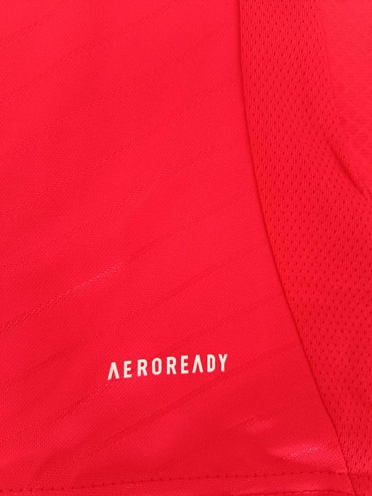 Camisola principal Benfica 24/25