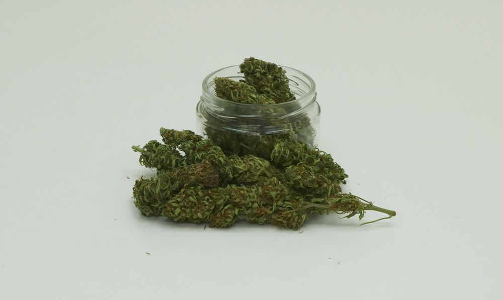 Susz konopi CBD do waporyzacji Kompolti jasny fenotyp 20g 4,5%
