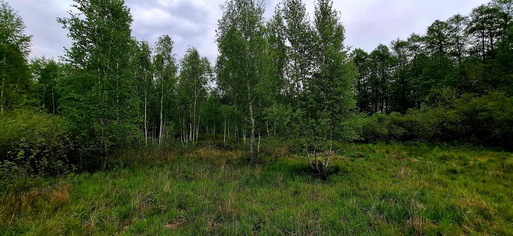 Działka rolno-budowlana 8000 m 55 km od Warszawy