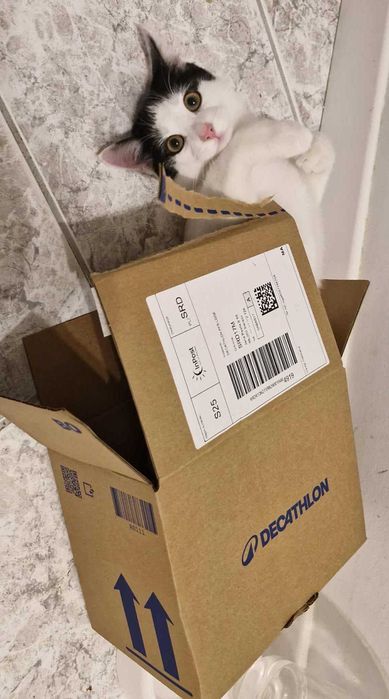 W domu tymczasowym dostałem ksywę Księgowy