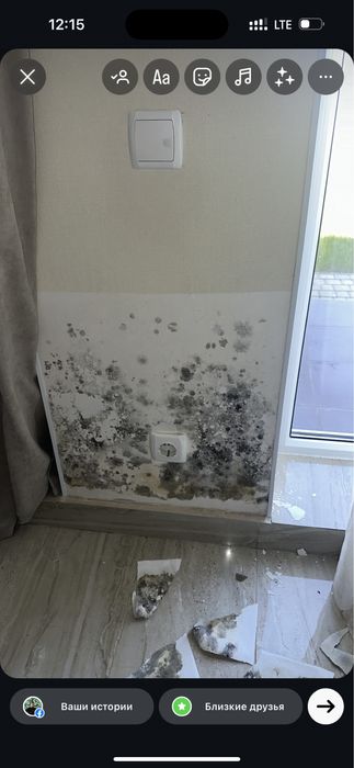 Удаление грибка , устранение грибка ! Удаление плесени с гарантией