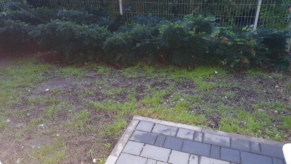 Mieszkanie na krótki termin