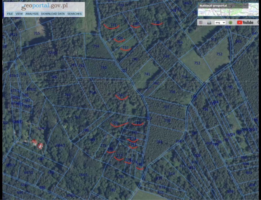 Prywatny las na sprzedaż - Widaczów - bez pośredników - działki leśne.