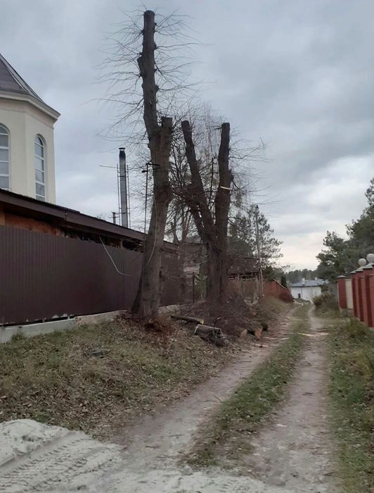 Зрізання та валка проблемних дерев