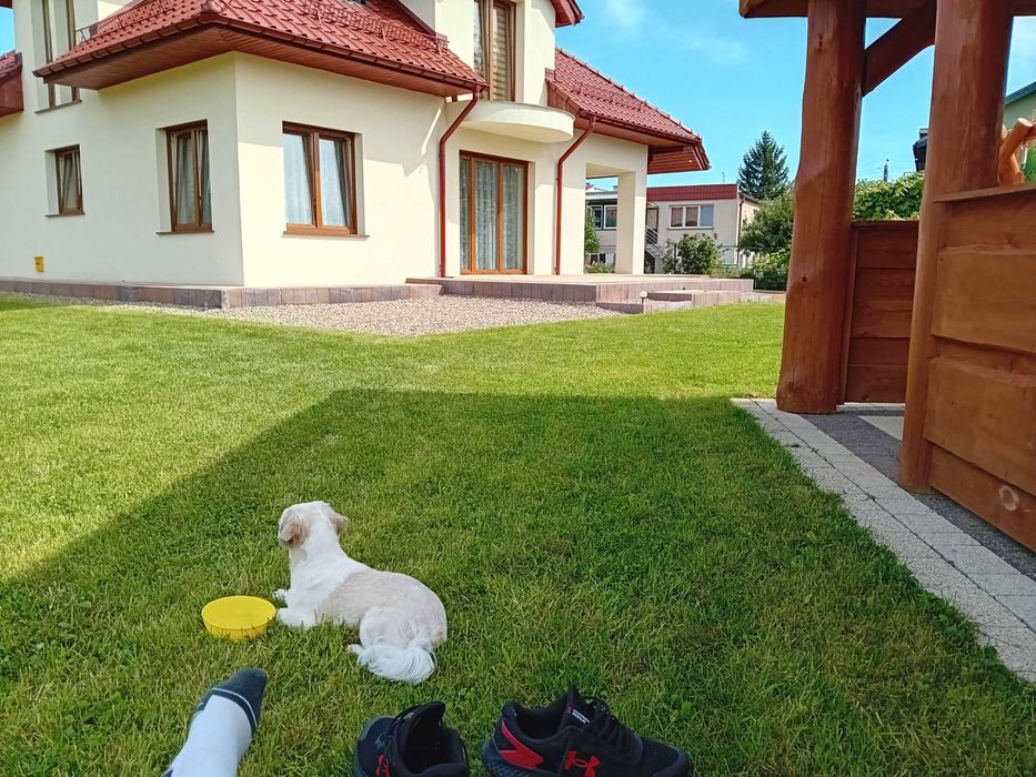 Piękny Dom dobra lokalizacja