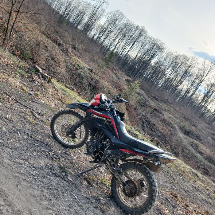 Продам forte 300