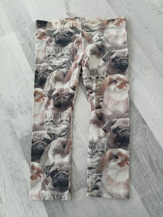 Legginsy dla dziewczynki dziecięce koty name it