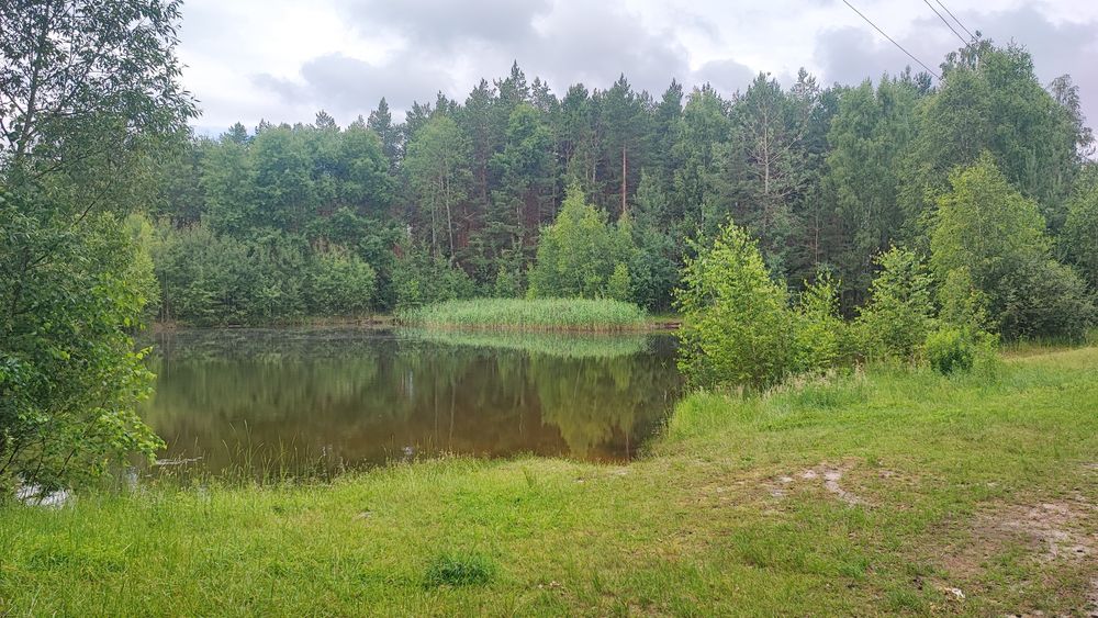 Ділянка, 12 соток з призначенням будівництво, біля лісу.