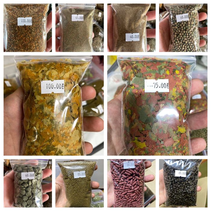Продажа аквариумны рыб и аксесуаров
